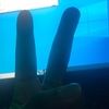 isahaxdjdj